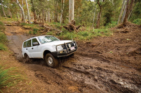 Kroombit Tops National Park - New Castle Holiday 1