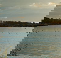 Lake Inverell Reserve - New Castle Holiday