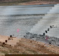 Lake Wyangala - New Castle Holiday