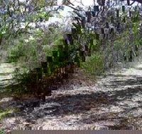 Lanky's Walk - New Castle Holiday