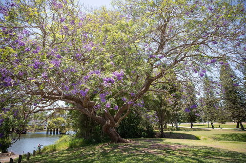 Leis Park - New Castle Holiday 0
