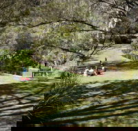 Leura Cascades picnic area - New Castle Holiday