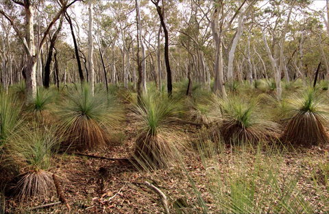 Livingstone National Park - New Castle Holiday 0