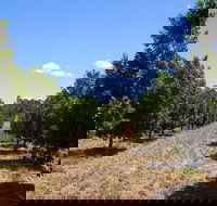 MacNuts WA Shop and Factory - New Castle Holiday