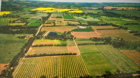 Martin's Orchard - New Castle Holiday 2