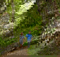 Melba Gully - New Castle Holiday