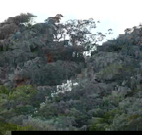 Mount Yarrowyck Nature Reserve - New Castle Holiday