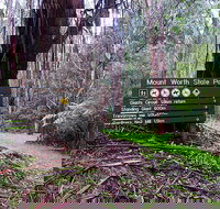 Mount Worth State Park - New Castle Holiday