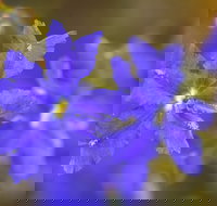 Mount Madden Scenic Drive - New Castle Holiday