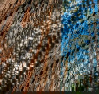 Muirs Lookout - New Castle Holiday