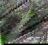 Mulwaree River Walkway - New Castle Holiday