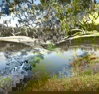 Murray Valley National Park - New Castle Holiday