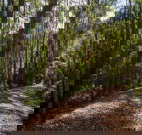 Myrtle Scrub Scenic Drive - New Castle Holiday