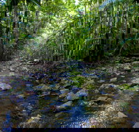 Nambucca Valley - New Castle Holiday