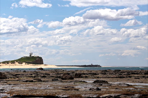 Nobbys Beach - New Castle Holiday 1