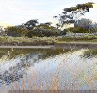 Onkaparinga River Recreation Park - New Castle Holiday