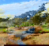 Owen  Hamley Bridge - New Castle Holiday