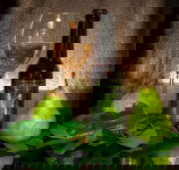 Paracombe Premium Perry - New Castle Holiday