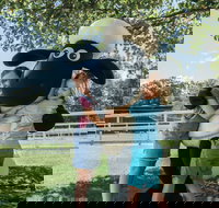 Paradise Country - New Castle Holiday