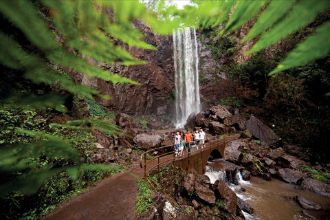 Queen Mary Falls Circuit, Main Range National Park - New Castle Holiday 0