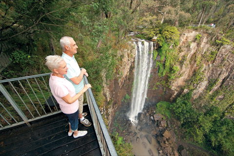 Queen Mary Falls Circuit, Main Range National Park - New Castle Holiday 1