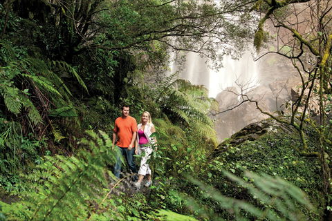Queen Mary Falls Circuit, Main Range National Park - New Castle Holiday 2