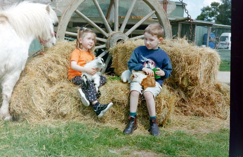 Rain Hayne And Shine Farmyard - New Castle Holiday 0