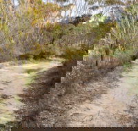 Red Rocks trig walking track - New Castle Holiday