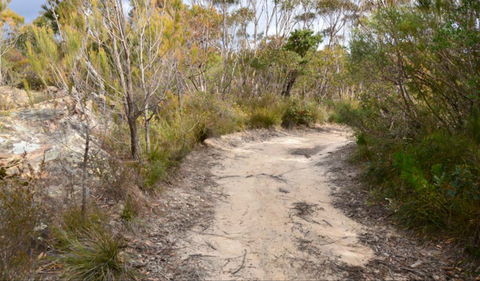 Red Rocks Trig Walking Track - New Castle Holiday 0