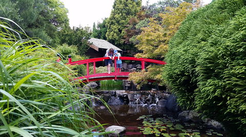 Royal Tasmanian Botanical Gardens - New Castle Holiday 1