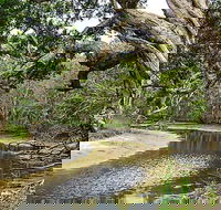 Saltwater National Park - New Castle Holiday