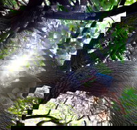 Scarborough Beach Park - New Castle Holiday