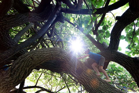 Scarborough Beach Park - New Castle Holiday 0