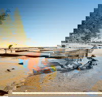 Shelly Beach - New Castle Holiday