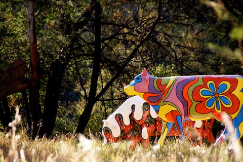 Shepparton - New Castle Holiday 1