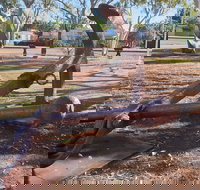 SS Colac - New Castle Holiday