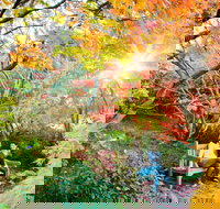 The Blue Mountains Botanic Garden Mount Tomah - New Castle Holiday