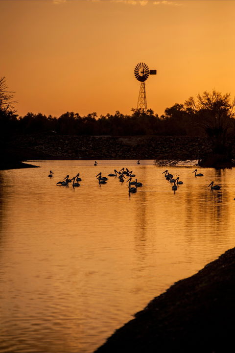 Thomson River, Longreach - New Castle Holiday 2