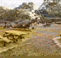 Thredbo River picnic area - New Castle Holiday