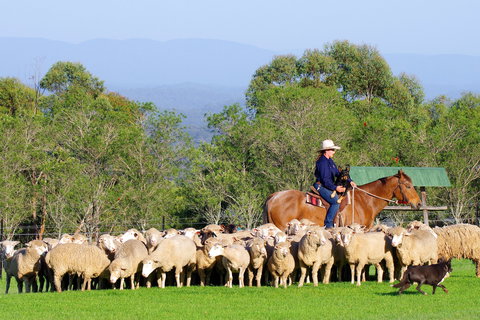 Tobruk Sydney - New Castle Holiday 2