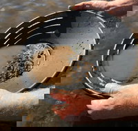 Tuena Panning for Gold - New Castle Holiday