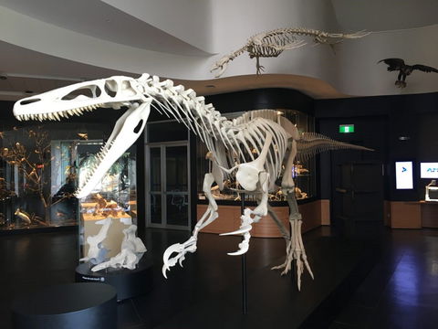 UNE Natural History Museum - New Castle Holiday 0