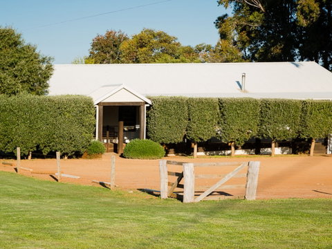 Vasse Virgin - New Castle Holiday 1