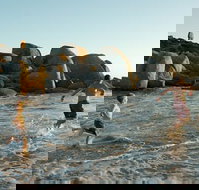 Venus Bay - New Castle Holiday