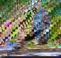 Wagirra Trail and Yindyamarra Sculpture Walk - New Castle Holiday