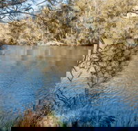 Wandandian Creek picnic area - New Castle Holiday