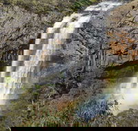 Waterfall Way Scenic Drive - New Castle Holiday