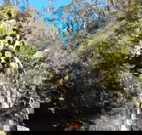 Waterfall Walk Kanangra-Boyd National Park - New Castle Holiday