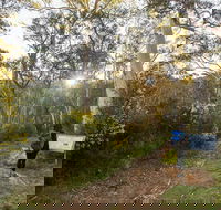 Yarrangobilly Caves  River walk - New Castle Holiday