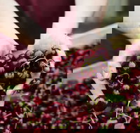 Yarra Valley Cherries - New Castle Holiday